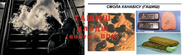 бошки Пересвет