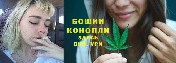 бошки Пересвет