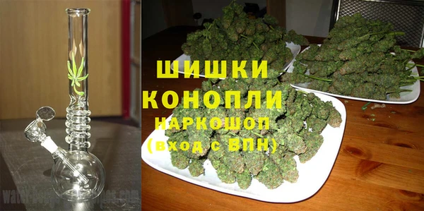 бошки Пересвет
