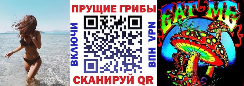 продажа наркотиков  Юхнов  Галлюциногенные грибы Psilocybine cubensis 